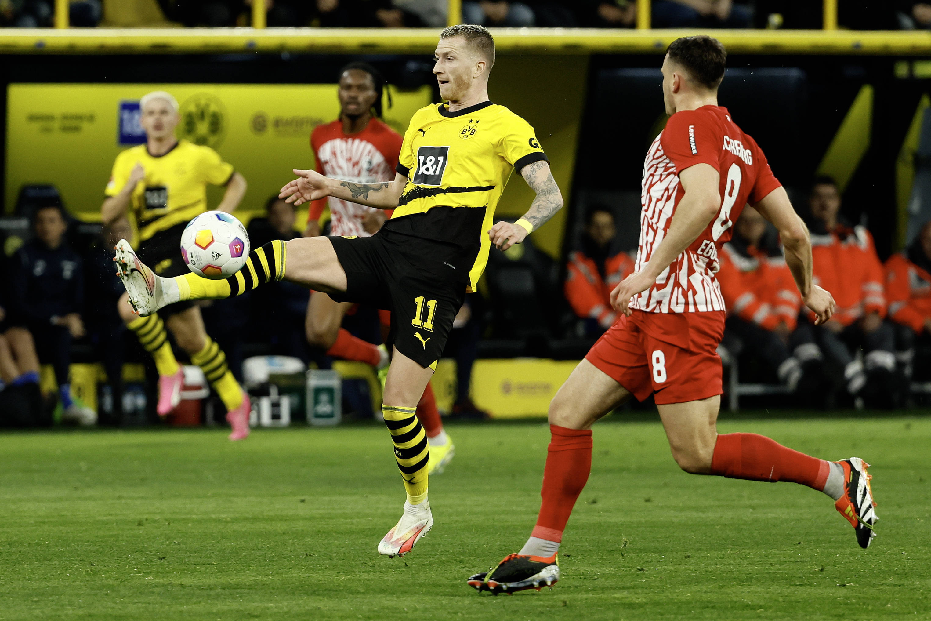 欧冠小组赛:北欧劲旅迎战德甲豪强——哥本哈根VS多特蒙德赛前全方位解析与比分预测